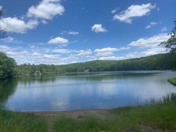 0 Lion Hill Rd, Otis, MA 01253