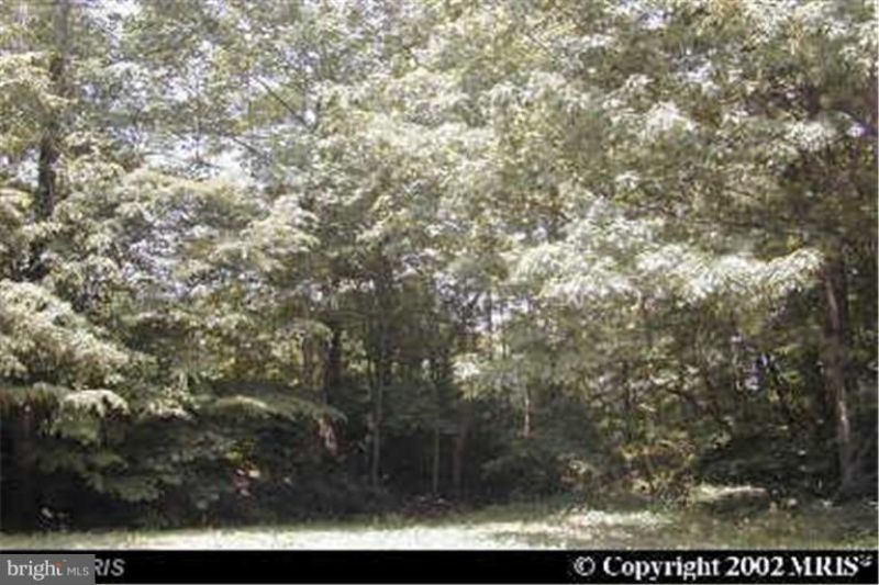 Tonopah Rd., Chestertown, MD 21620 Main Photo