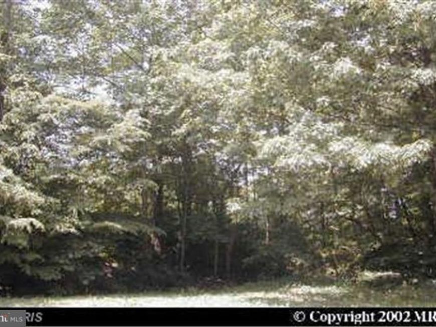 Tonopah Rd., Chestertown, MD 21620 Main Photo