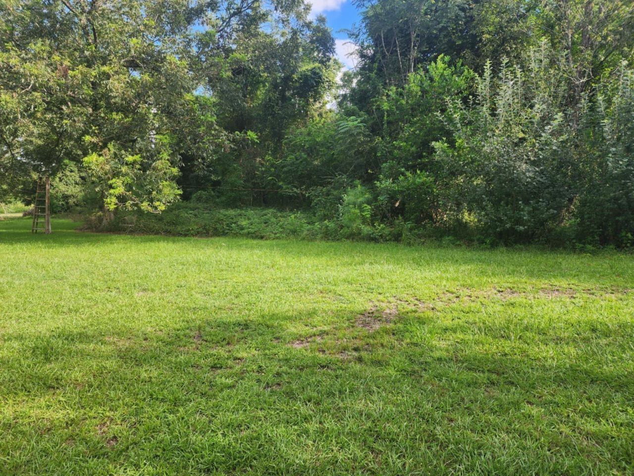 398 Kennedy Road Photo 21