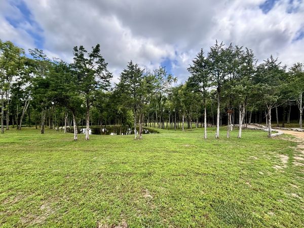 8598 Taliaferro Rd, Eagleville, TN 37060