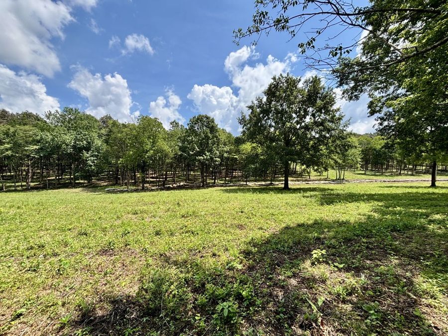Property Image 53