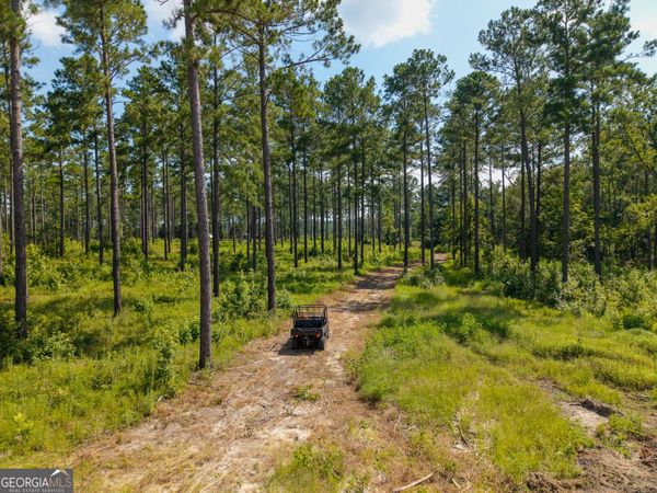 0 Henry Moxley Road, Cobbtown, GA 30420
