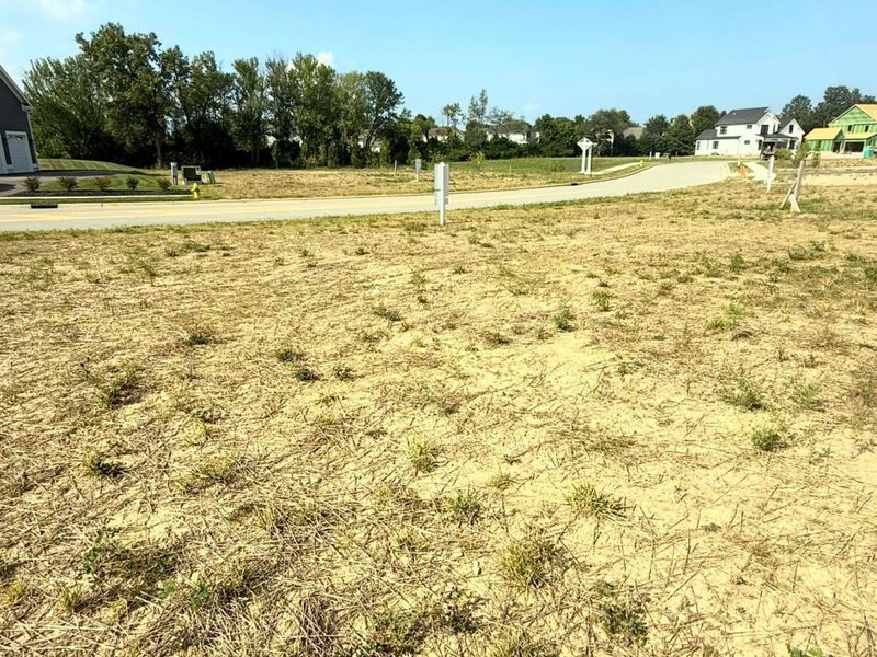 3186 Briarwood Lane, Lewis Center, OH 43035 Photo 1