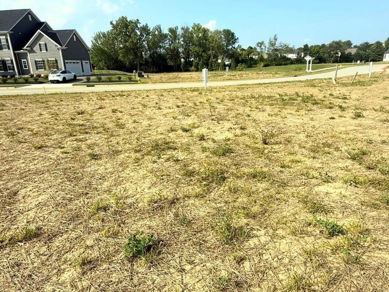 3186 Briarwood Lane, Lewis Center, OH 43035 Photo 3