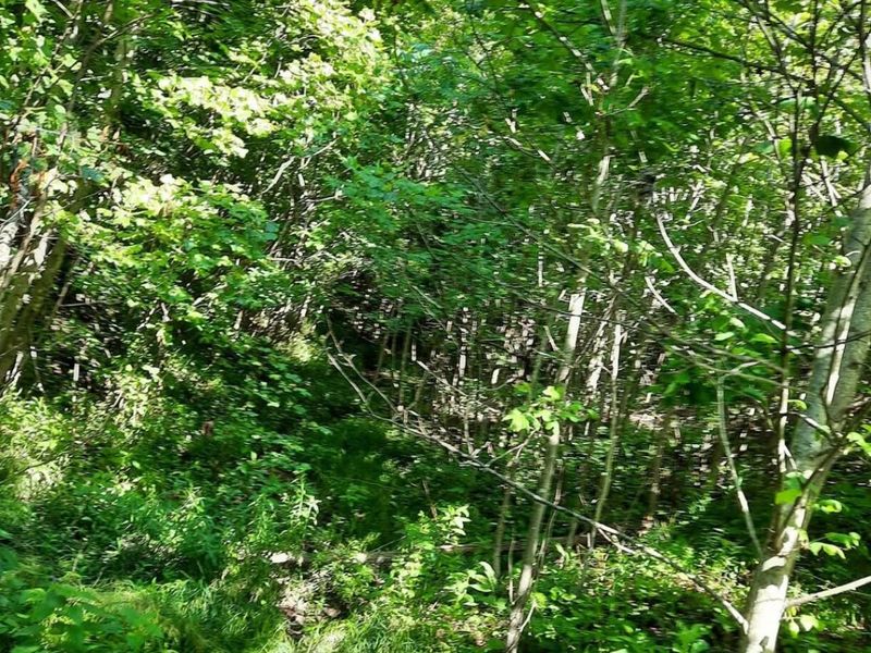 1774 Owl Creek Road, Lucasville, OH 45648 Photo 10