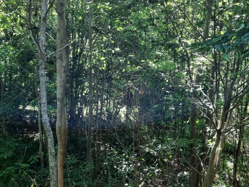 1774 Owl Creek Road, Lucasville, OH 45648 Photo 11