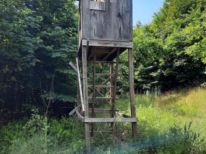 1774 Owl Creek Road, Lucasville, OH 45648 Photo 12