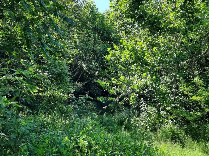 1774 Owl Creek Road, Lucasville, OH 45648 Photo 13