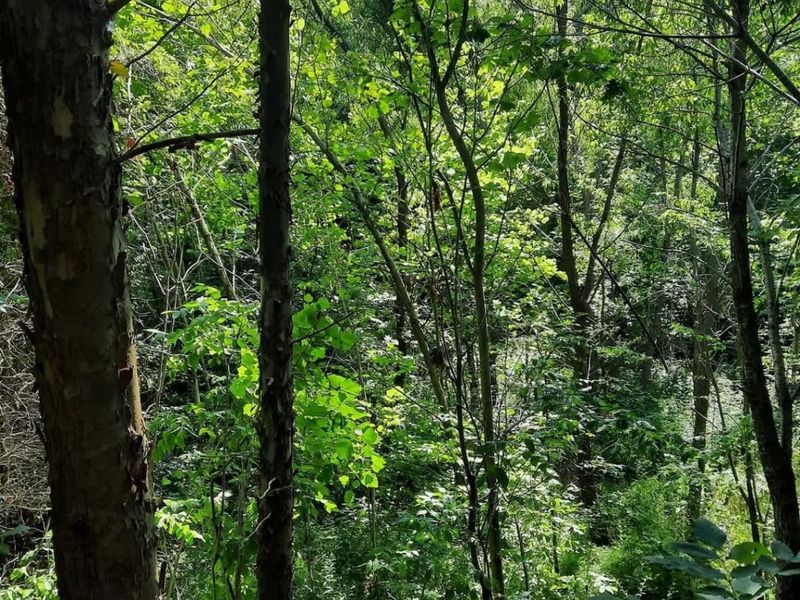 1774 Owl Creek Road, Lucasville, OH 45648 Photo 14