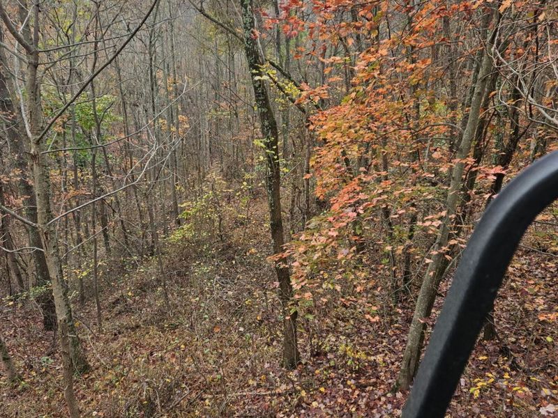 1774 Owl Creek Road, Lucasville, OH 45648 Photo 15