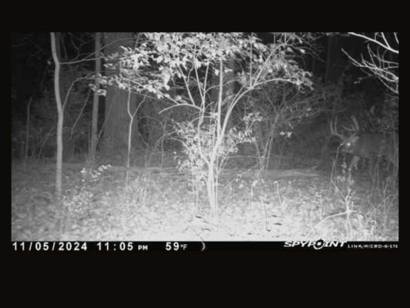 1774 Owl Creek Road, Lucasville, OH 45648 Photo 16