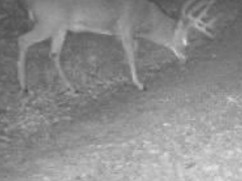 1774 Owl Creek Road, Lucasville, OH 45648 Photo 17