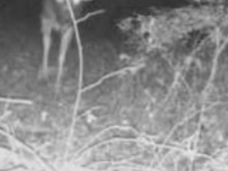 1774 Owl Creek Road, Lucasville, OH 45648 Photo 19