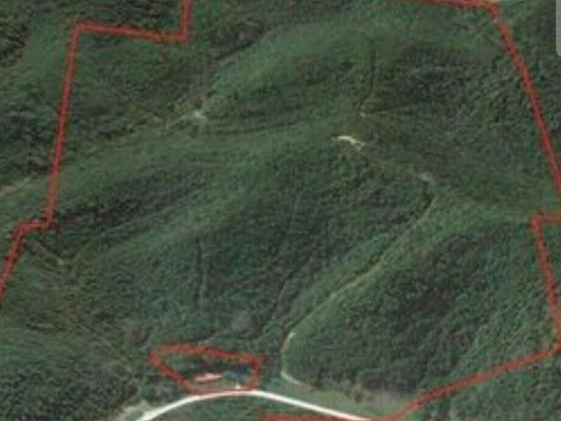 1774 Owl Creek Road, Lucasville, OH 45648 Photo 2