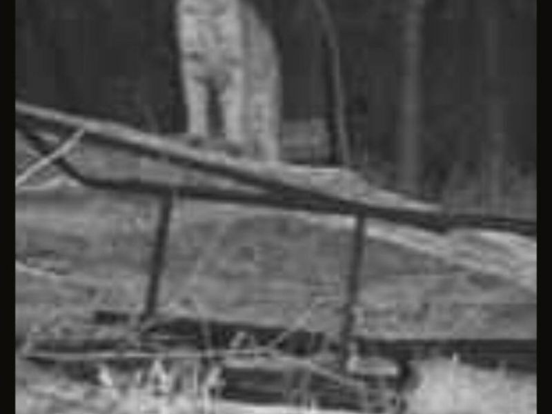 1774 Owl Creek Road, Lucasville, OH 45648 Photo 20