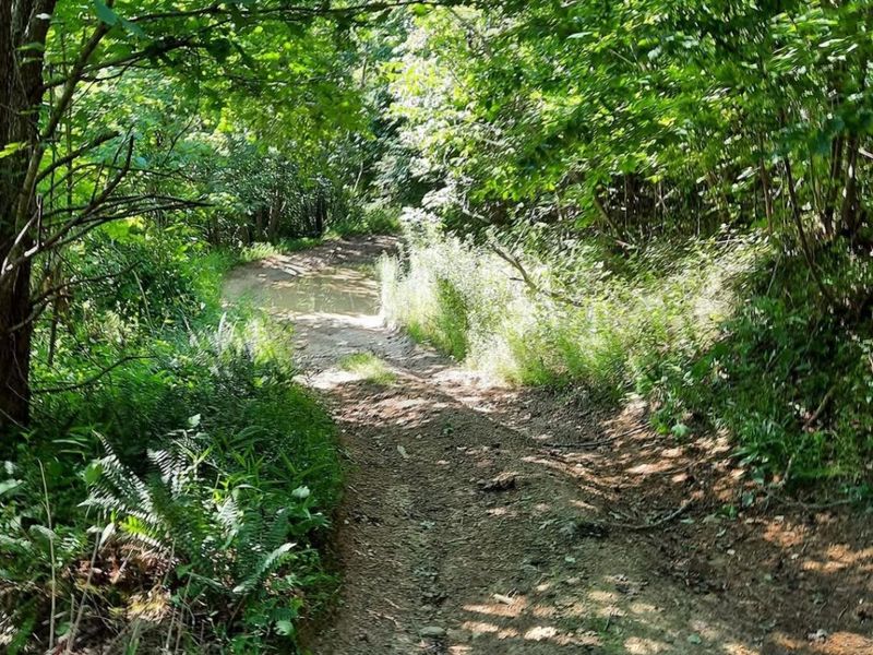 1774 Owl Creek Road, Lucasville, OH 45648 Photo 5