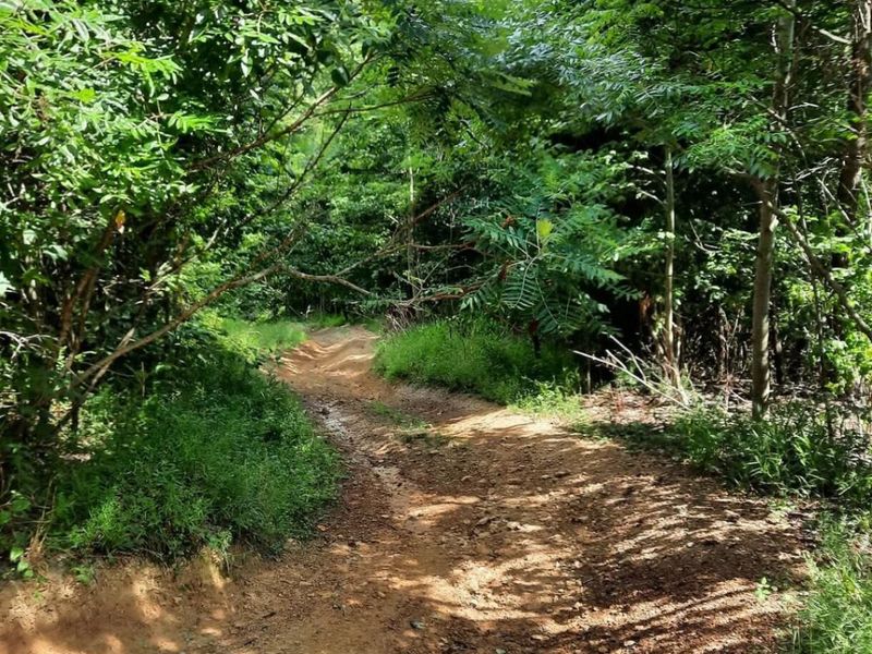 1774 Owl Creek Road, Lucasville, OH 45648 Photo 7