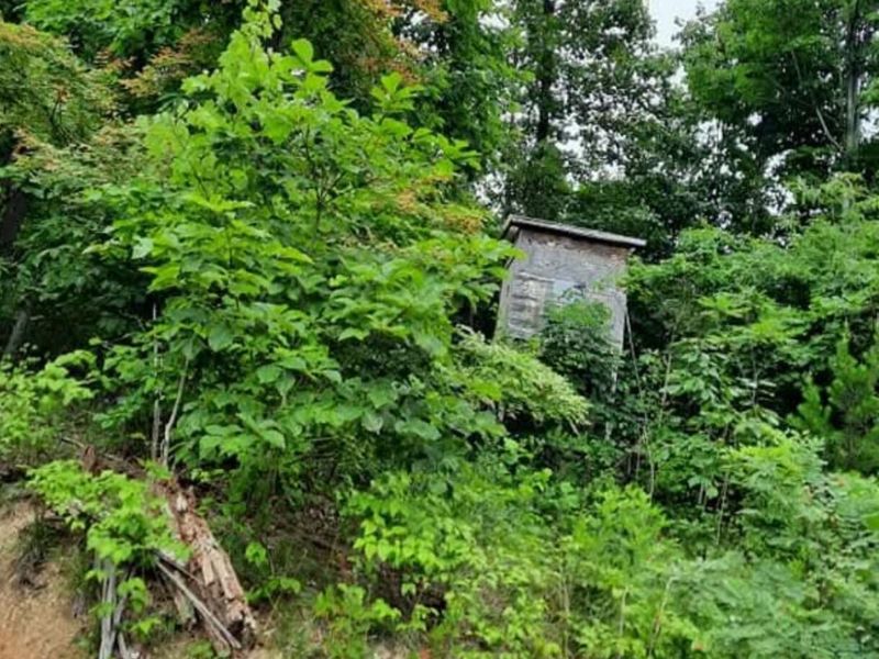 1774 Owl Creek Road, Lucasville, OH 45648 Photo 8