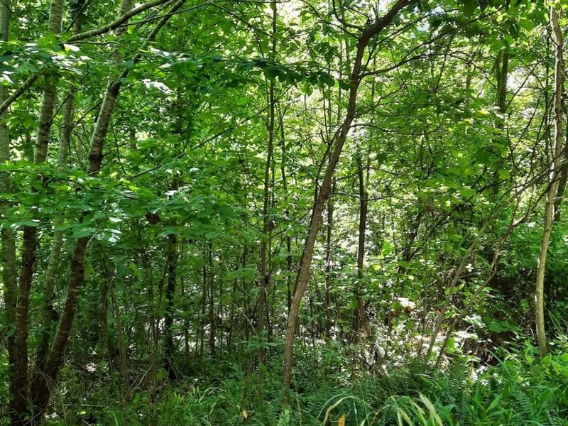 1774 Owl Creek Road, Lucasville, OH 45648 Photo 9