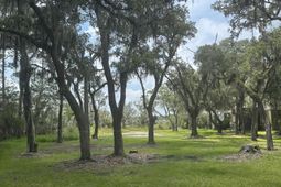 1875 Headquarters Plantation Drive photo 4