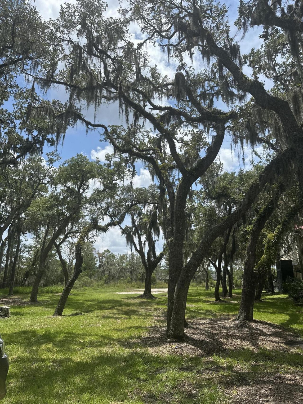 1875 Headquarters Plantation Drive Photo 8