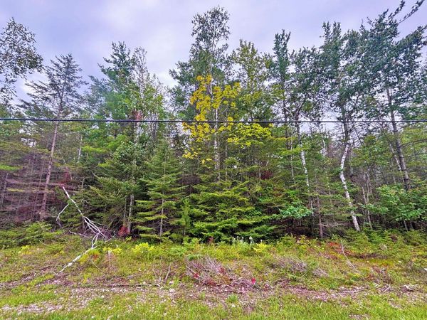 Lot 305 Kauffman Road, Presque Isle, MI 49777