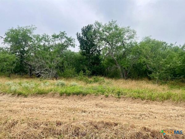 Lot 8 Wisteria Lane, Smiley, TX 78159