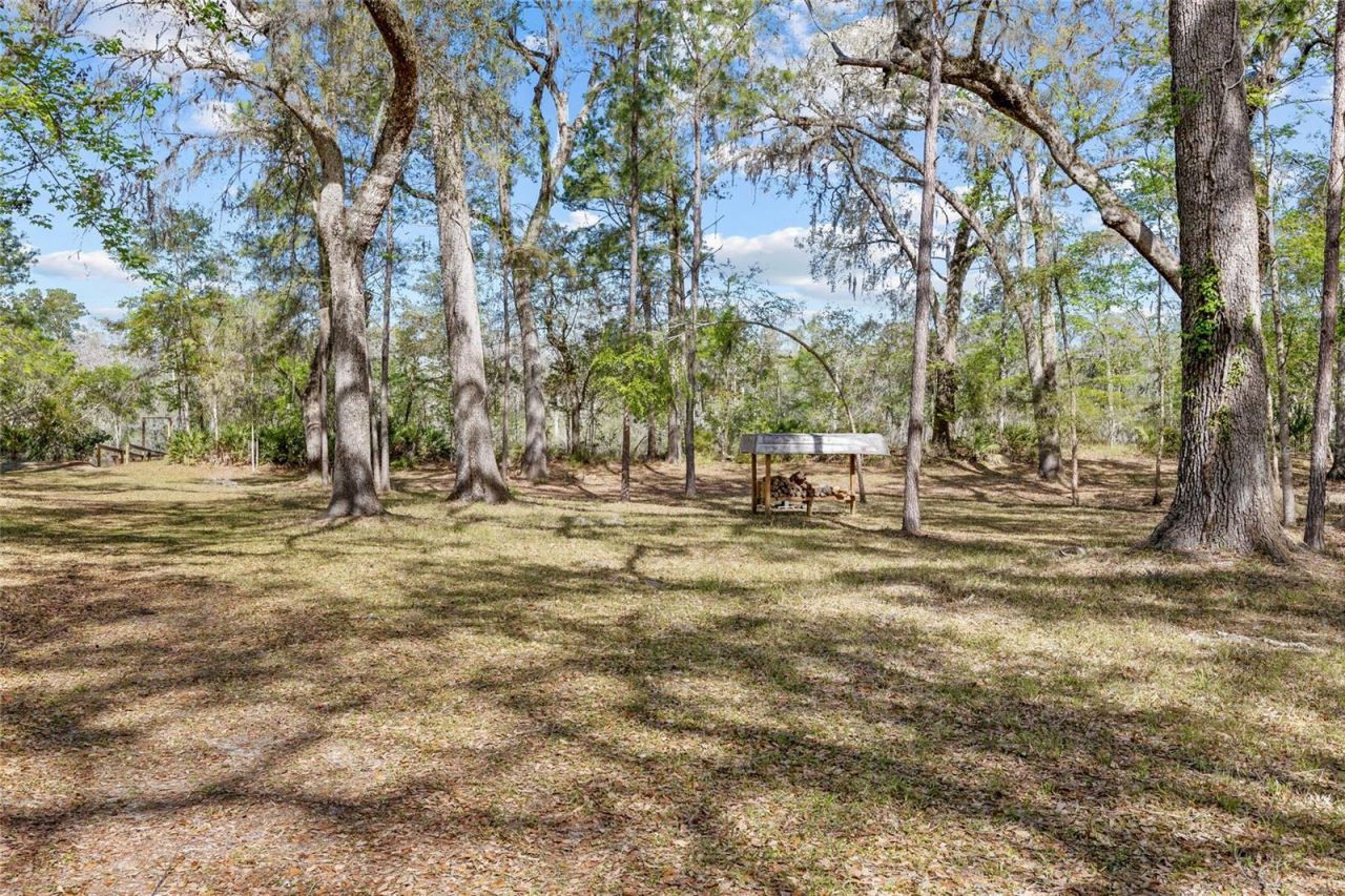 4250 NW 81st Lane, Bell, FL 32619 Photo