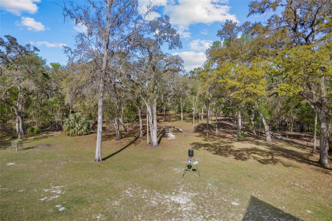 4250 NW 81st Lane, Bell, FL 32619 Photo