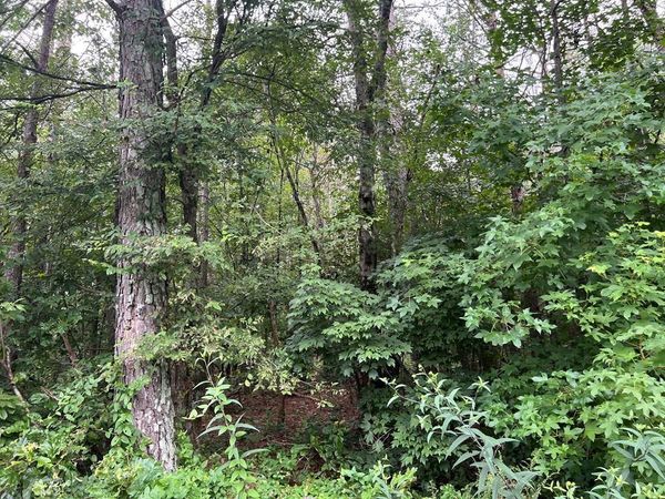 119 NW Kirk Road, White, GA 30184