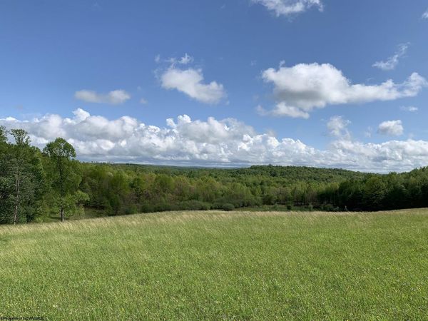 111 Briar Ridge Lane, Ellamore, WV 26267