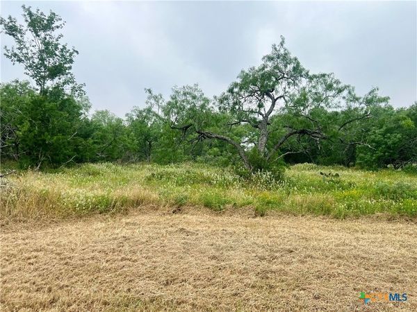 Lot 10 Wisteria Lane, Smiley, TX 78159