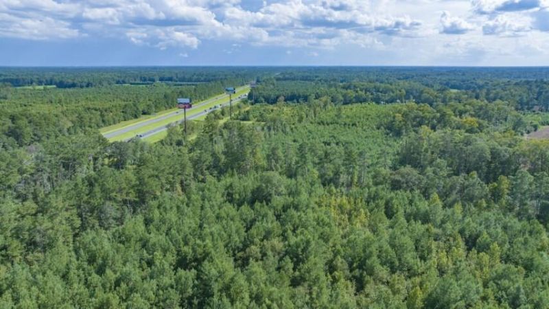 0 Mulberry Road Photo 10