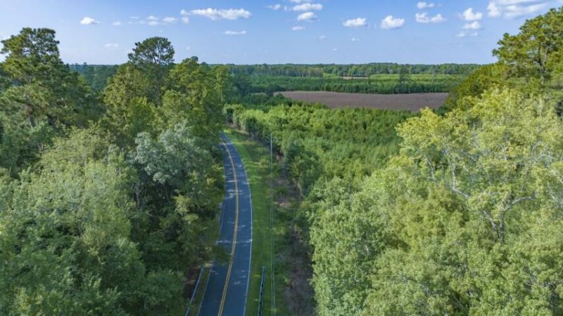 0 Mulberry Road Photo 38