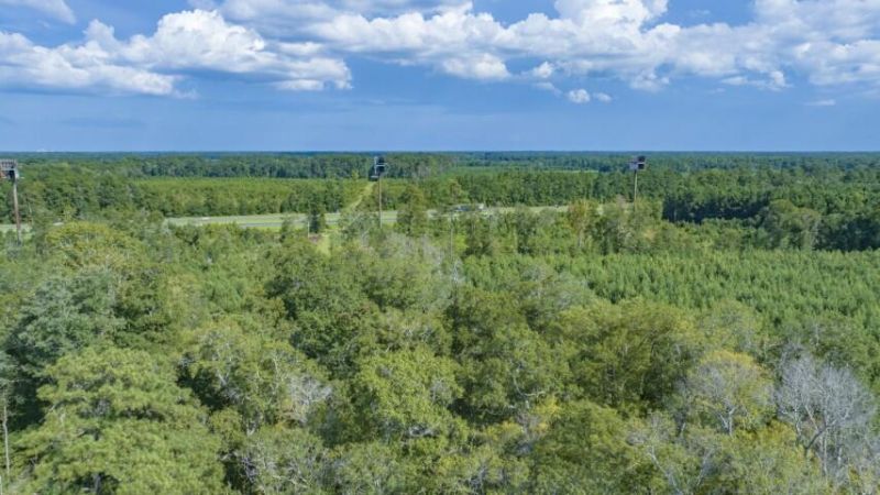 0 Mulberry Road Photo 41