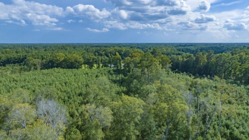 0 Mulberry Road Photo 42