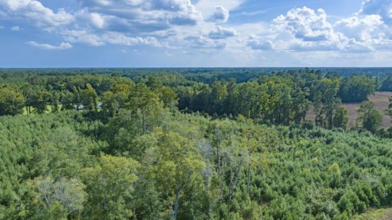 0 Mulberry Road Photo 43