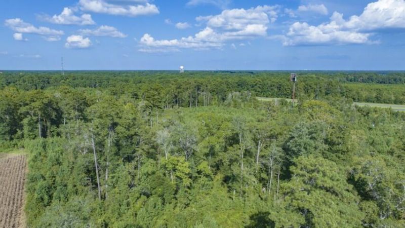 0 Mulberry Road Photo 44