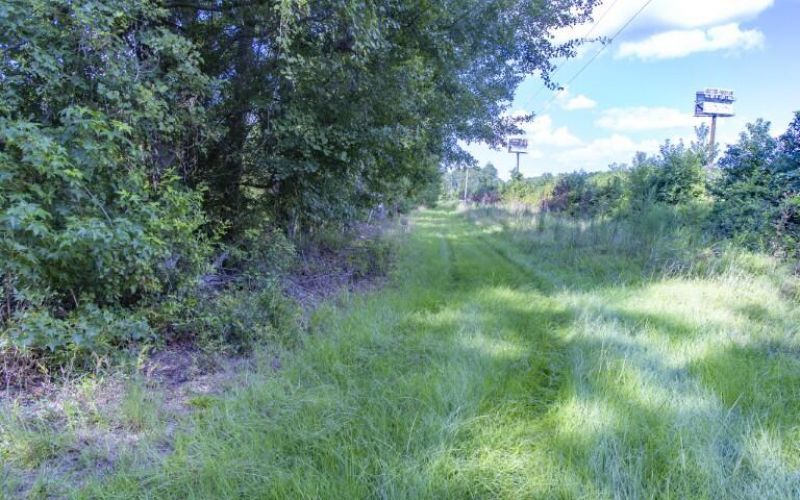 0 Mulberry Road Photo 46