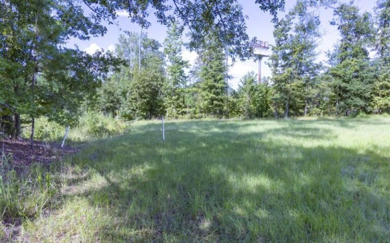 0 Mulberry Road Photo 5