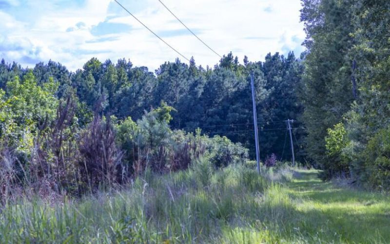 0 Mulberry Road Photo 7