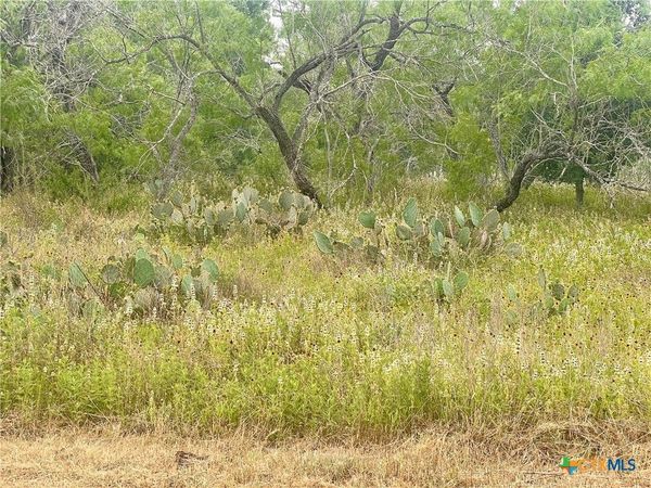Lot 14 Wisteria Lane, Smiley, TX 78159