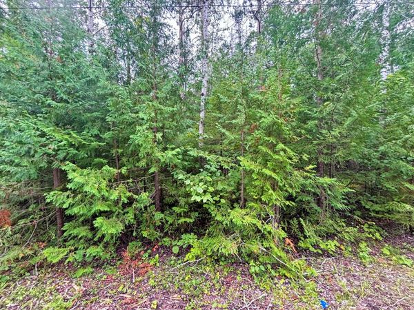 Lot 229 Sunaqua Drive, Presque Isle, MI 49777