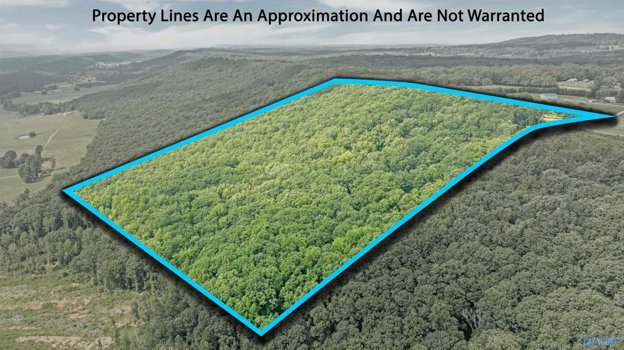 14698 Alabama Highway 117, Henagar, AL 35971 Main Photo