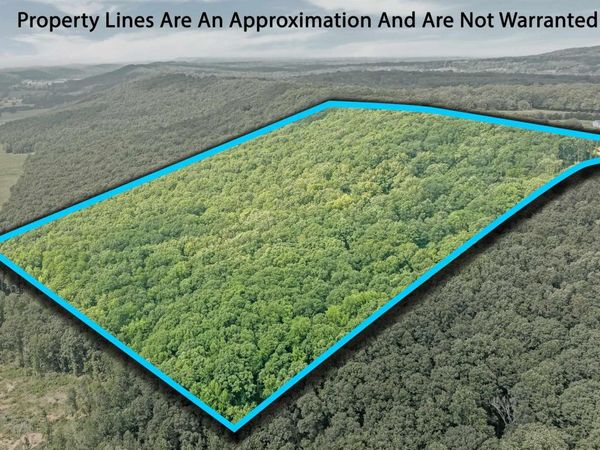 14698 Alabama Highway 117, Henagar, AL 35971