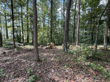 Lot 172 Stillwater, Russell Springs, KY 42642