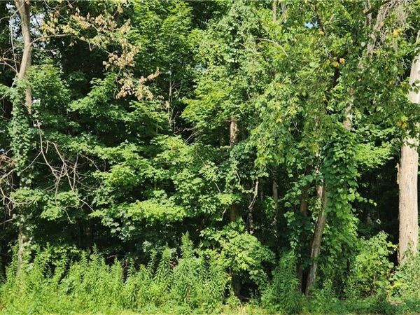 V/L Boston State Road, Boston, NY 14025