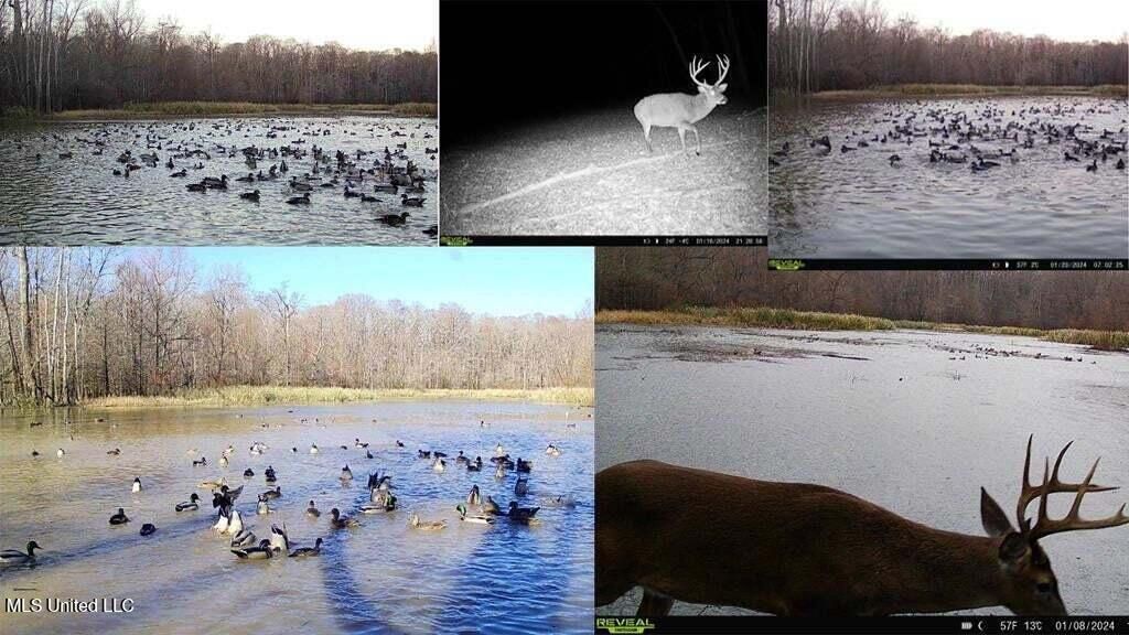 1 Rodney Bend Road, Lorman, MS 39096 Main Photo