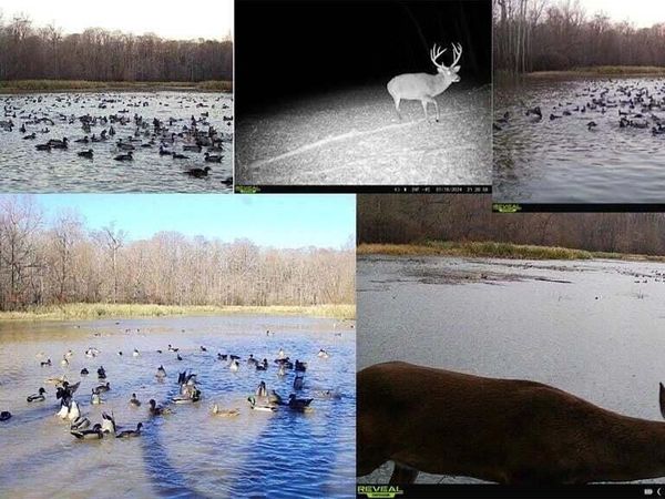 1 Rodney Bend Road, Lorman, MS 39096